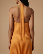 Damen Maxikleid Neckholder rückenfrei plissiert – Abendkleid für Abend & festliche Anlässe | Naomi