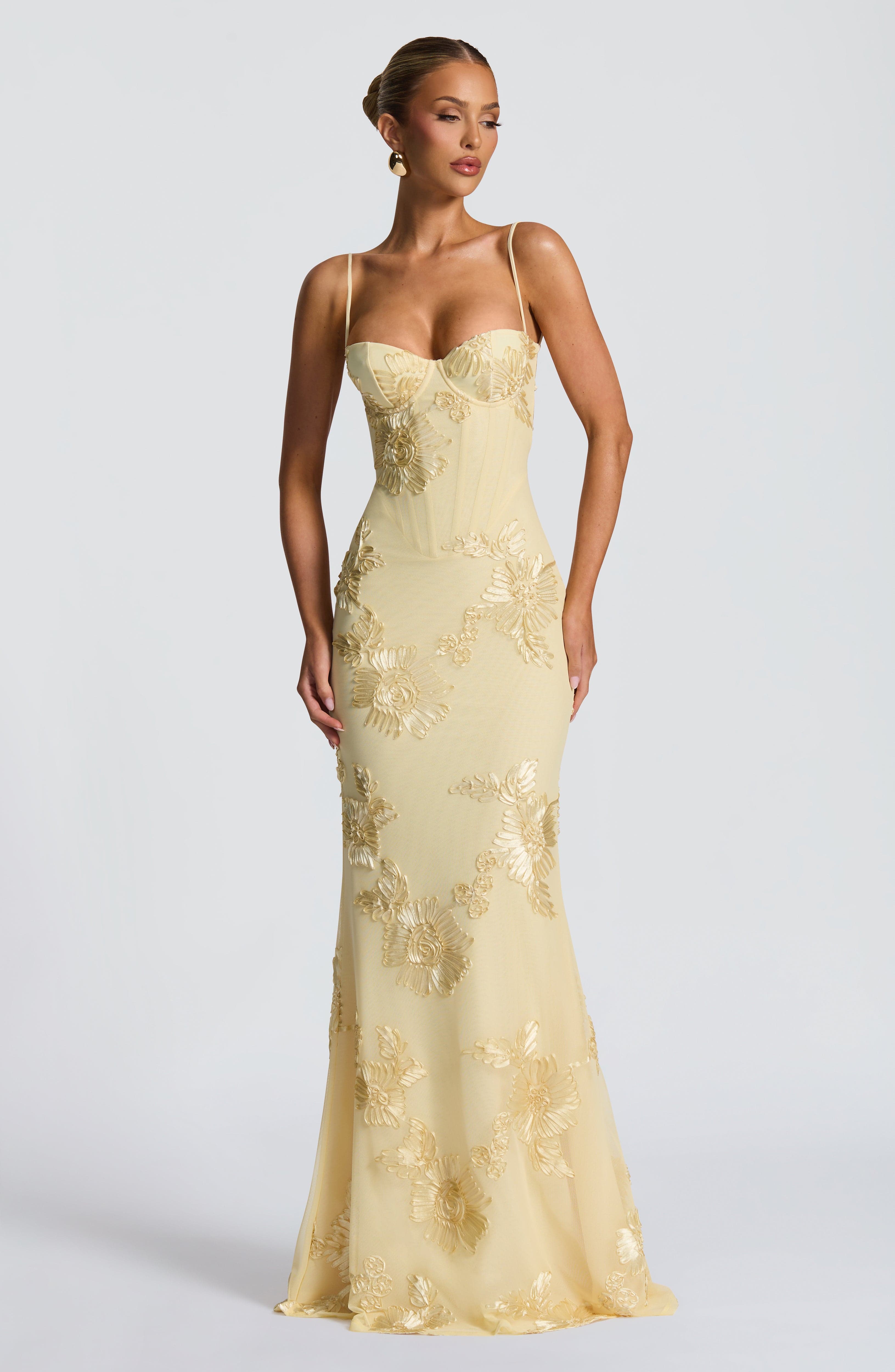 Damen Maxikleid Mesh Spaghettiträger Schnürrücken Fit & Flare – feminin-festlich für den Abend | Eira