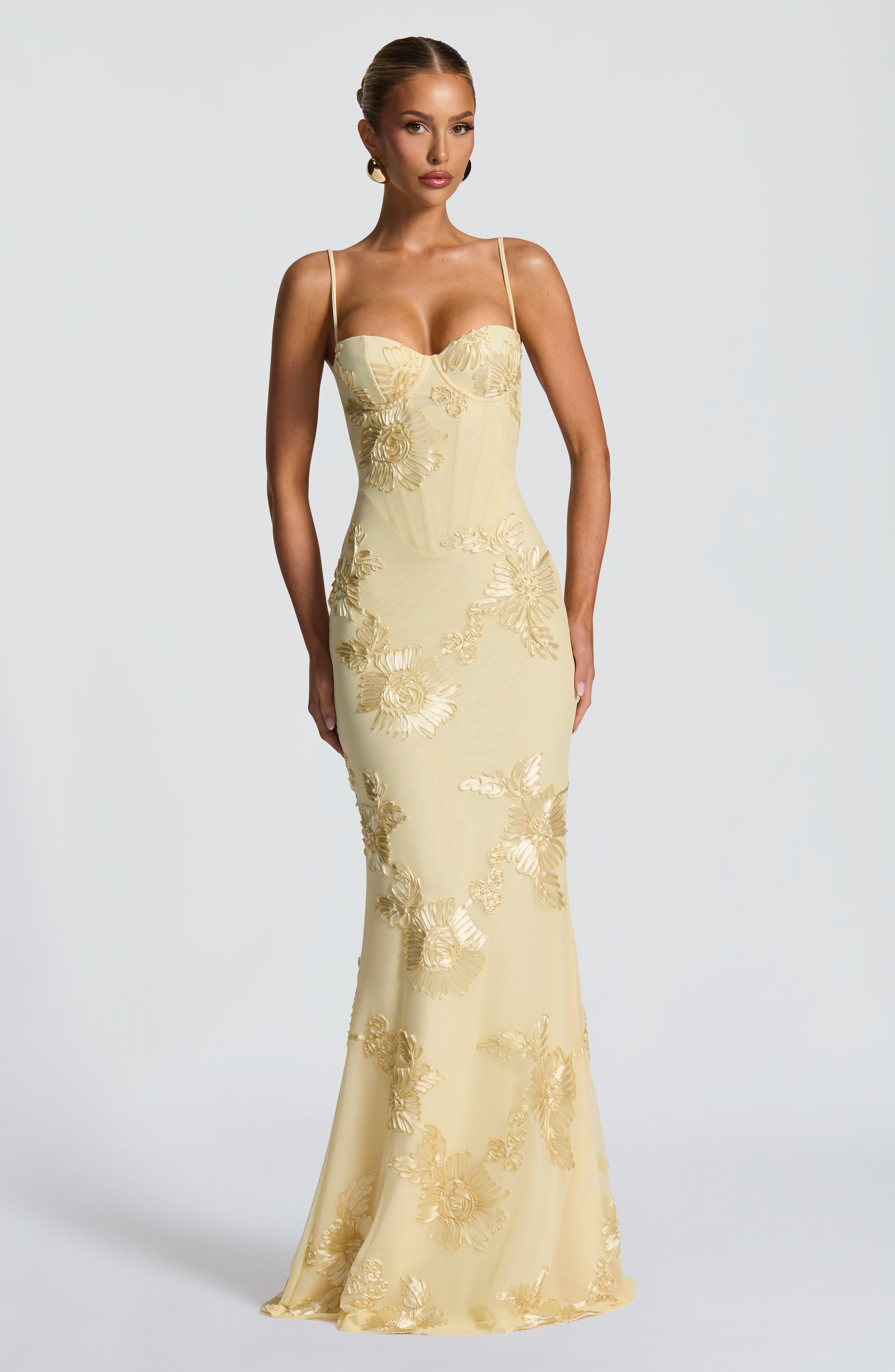 Damen Maxikleid Mesh Spaghettiträger Schnürrücken Fit & Flare – feminin-festlich für den Abend | Eira