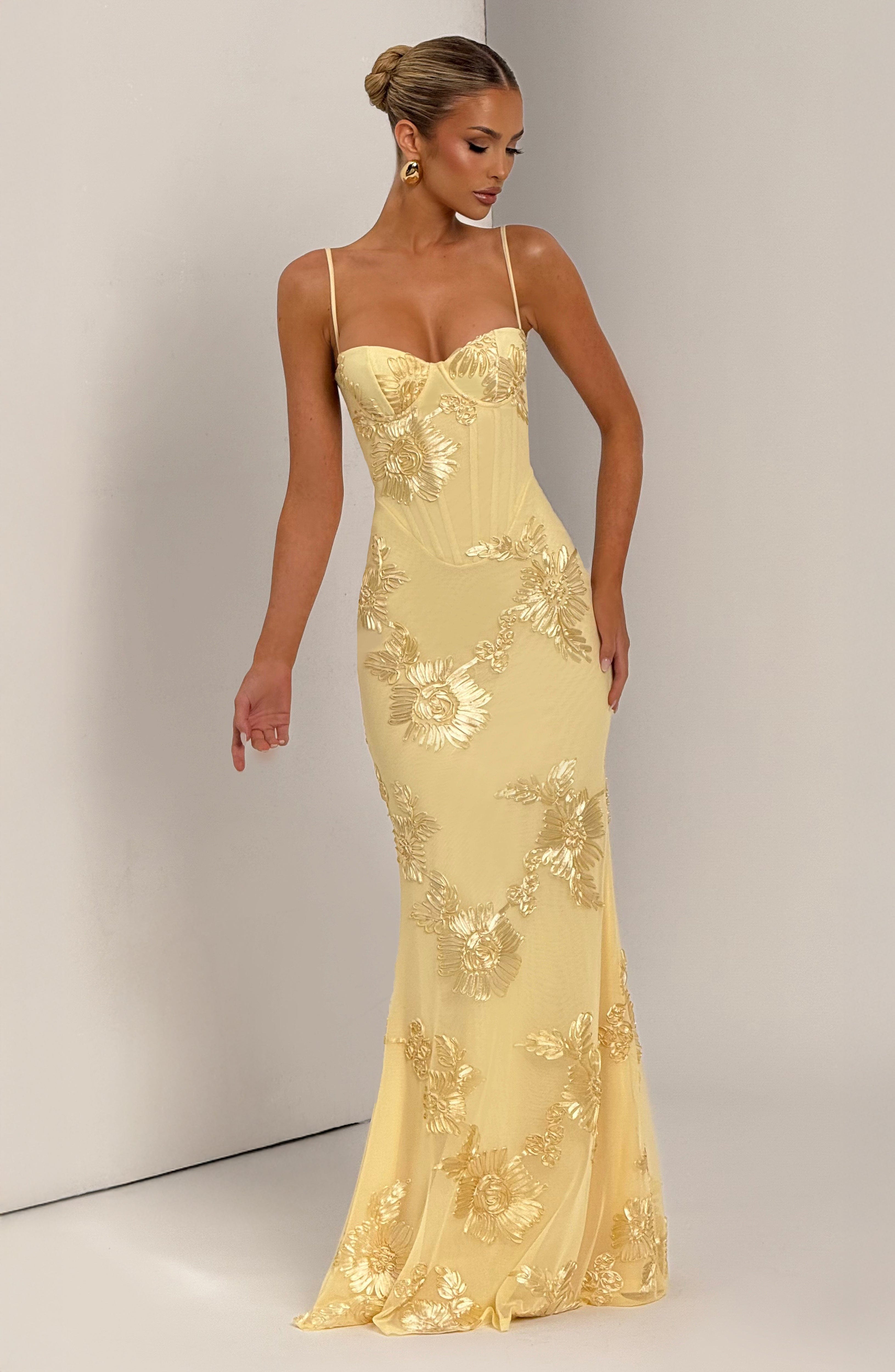 Damen Maxikleid Mesh Spaghettiträger Schnürrücken Fit & Flare – feminin-festlich für den Abend | Eira